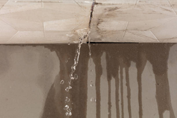 Professional Water Extraction technician working in Westley, CA